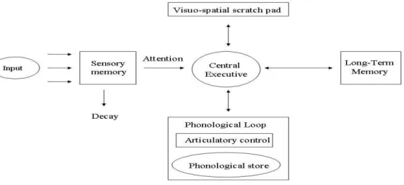 Figure    3.  I:  The  Working  Memory  Model  Components  (Baddeley  and  Hitch,  1974) 