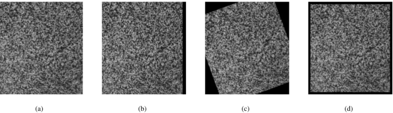 Figure 6: Computer generated images used to validate the registration algorithm. (a) reference image