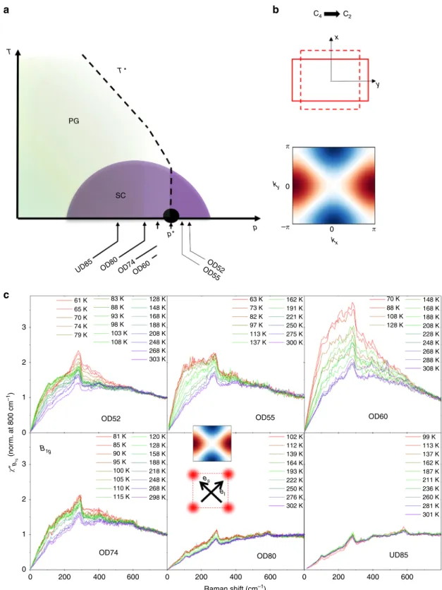 Fig. 1 Dynamical nematic ﬂ uctuations in Bi 2 Sr 2 CaCu 2 O 8þδ a Temperature-doping generic phase diagram of hole-doped cuprates