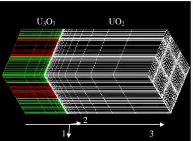 Figure 4 : An example of mesh. Multi-domain of U 3 O 7  on UO 2  substrate 