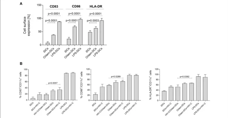 FIGURE 1 | Chlamydia induces maturation of DCs in vitro. (A) Representative flow cytometric analysis of CD83, CD86, and HLA-DR expression on CD11c + DCs upon stimulation with Chlamydia or LPS for 24 h