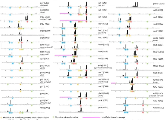 Figure  5. Atlas  of  ts  signals  of  all  E.  coli  tRNAs,  with  base  modifications  reported  from  Modomics  (as  of  Nov