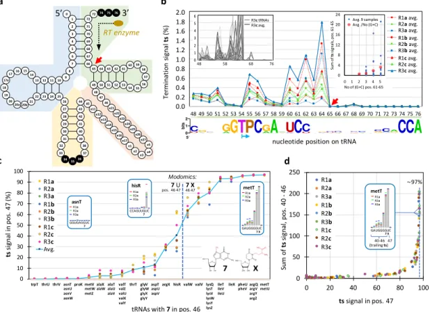 Figure  6.  a)  Standard  tRNA  nucleotide  numbering  according  to  the  tRNA  gene  database  curated  by  experts  website  (Abe  et  al.,  2014)