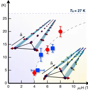 FIG. 5. H -T phase diagram of BTFS showing the field- field-induced mesoscopic spin texture phase