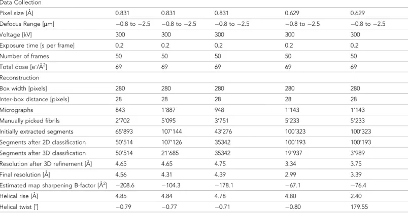 Table 2. Cryo-EM structure determination statistics.