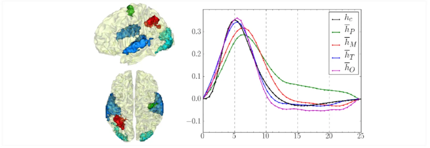 Figure 8. Left: Definition of regions of interest to investigate hemodynamics variability from JDE-based group-level analysis