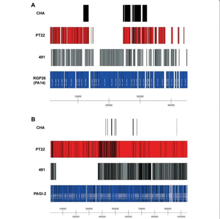 Figure 4 Diversity of the accessory genome. As examples, BLAST alignments of de novo assembled not-in-reference accessory genome contigs from all three clone CHA isolates to the PA14 Region of Genome Plasticity (RGP) 26 (panel A) and the PAGI-2 genomic isl