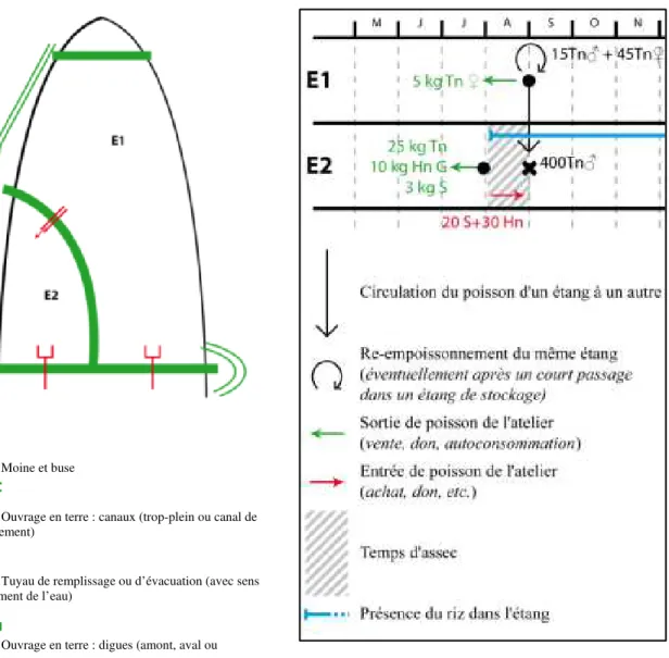 Figure :  Présentation  du  canevas  de  présentation  (Réalisation :  auteurs.  Sources :  Rapport  d’Activité de l’APDRA du PDRP-GF, 2016) 