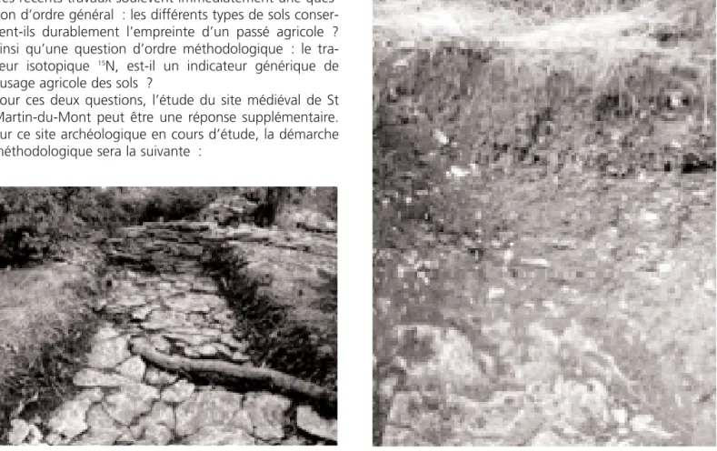 Figure 5 : Un exemple de variabilité spatiale des sols en parcelle 15. A proximité d’une construction dont on voit le parement mis à jour par la fouille, on observe un sol peu épais (10 à 20 cm) sombre, sur le substrat rocheux callovien, compact difficilem