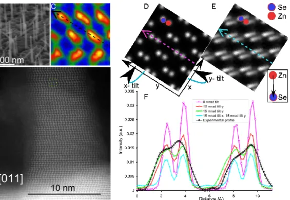 Fig 1 Determination of the nanowire polarity and comparison with simulations. (A) SEM image  of NWs grown on GaAs(111)B substrate at 350°C (B) Experimental HAADF STEM image (filtered  with a median filter using a 7 px square window) of the NW sample shown 