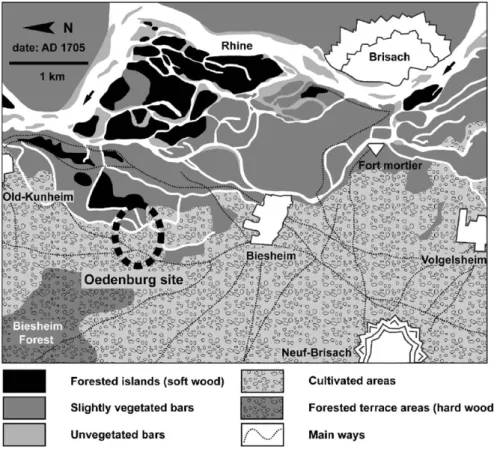Fig. 2. Map of the Rhine ﬂoodplain in the Oedenburg site area during the 18th century, showing the succession of main alluvial landscapes resulting in different vegetation covers