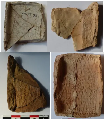 Fig 11: Insides of envelope fragments. Kt 93/k 552, Kt 93/k 228, Kt 93/k 117, Kt 93/k 142 