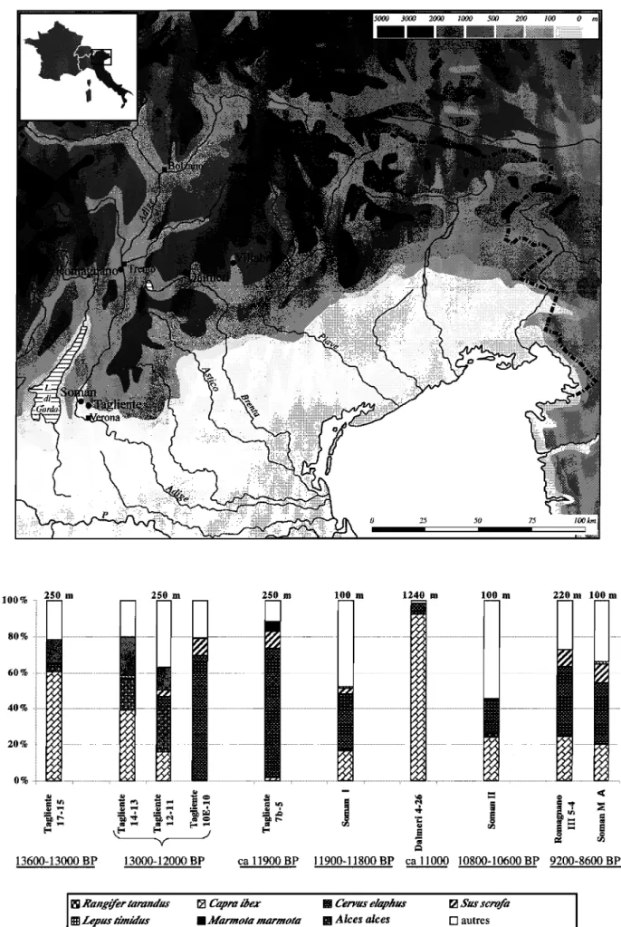 Figure 3:  Italie  du  Nord-Est - Carte des sites (en  haut) et histogrammes de fréquences des espèces d'herbivores  représentées  dans  les spectres fauniques  (en  bas) durant la  séquence chronologique considérée  ici