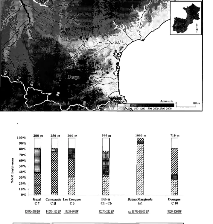 Figure 5:  Pyrénées:  Carte des sites  (en  haut)et histogrammes de fréquences des espèces d'herbivores représentées  dans les spectres fauniques  (en  bas) durant la séquence chronologique considérée ici