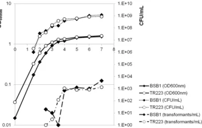 Fig 2. Competence efficiency. The apparition and the proportion of competent cells in cultures of wild-type (BSB1) and Δ hfq mutant (TR223) strains were monitoring by calculating the number of cells able to integrate an antibiotic resistance gene in their 