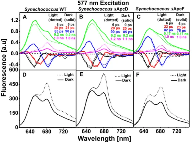 Fig. 5 presents the four DAS components for Synechococcus WT and the ΔApcD and, ΔApcF mutants, obtained upon selective Chl a  excita-tion at 430 nm