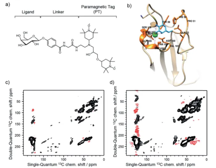Fig. 1 (a) Schematic of the functionalized ligand used in Sel-DNP and composed of a ligand tethered to a paramagnetic tag (PT) via a short linker.