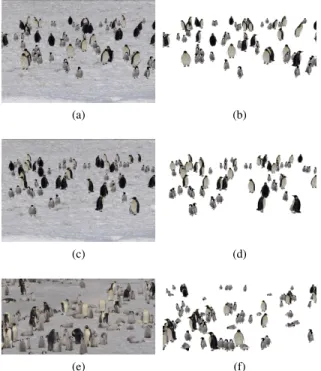 Fig. 3: (a) and (c) Shows inputs for synthetic images, (f) for real image, and (b), (d) and (e) are the results