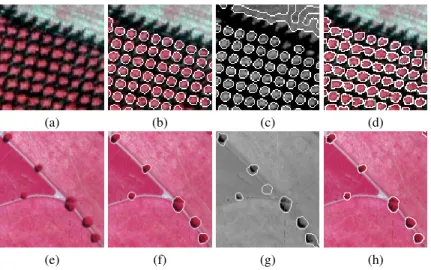 Fig. 7. Top row: (a), a CIR image; (b), result with the new model; (c), result with the model of [2] (stable radius r 0 = 2.5); (d), result with classical active contour model combined with the multispectral data term