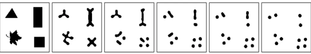 Fig. 1. Gradient descent evolution using E g alone, from initial (left) to final, stable (right) state (r 0 = 5, α = 2, β = 1.69 and d = 5).