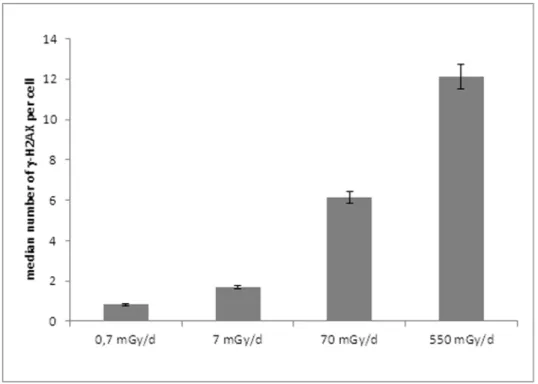 Table S2 reports the list of validated proteins, their characteristics and their spectral count quantification in the different samples