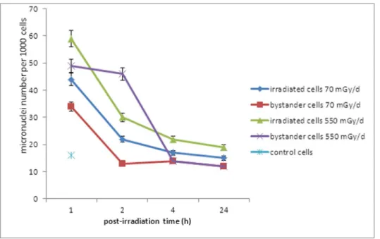 Figure 5. Gamma irradiation affects global methylation in irradiation and bystander cells