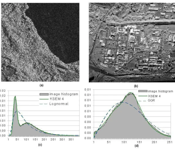 Figure 1: (a)”Mountain lake1” ( c ASI), (b) ”Ramses” ( c ONERA-CNES) images. Plot of the image histogram, KSEM pdf estimates and the best fitting pdf from the dictionary for the (c)”Mountain lake1” image and (d)”Ramses” image.