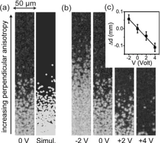 Fig. 2: (a) (left) and (b) Kerr images recorded through the ITO electrode E 2   200 ms after a 1 mT  constant magnetic field is applied and for different applied voltages