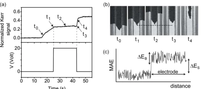 Fig. 4:  (a) Integrated Kerr intensity recorded below the  ITO electrode  and applied voltage as a  function  of  time  for  a  constant  magnetic  field  of  2.4  mT