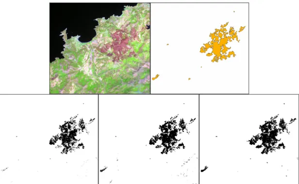 Fig. 3. SPOT 5 Image ©CNES 2005, Distribution SPOT Image (up left), Landsat satellite estimate – projet RISK-EOS 