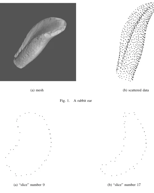 Fig. 1. A rabbit ear