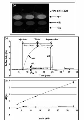 Fig. 1. Analysis of Ab binding to peptide  chip by SPRi: (a) SPR differential image of  the chip after injection of 12F10 mAb  (33.3nM) on a peptide chip which was  grafted with peptide A97