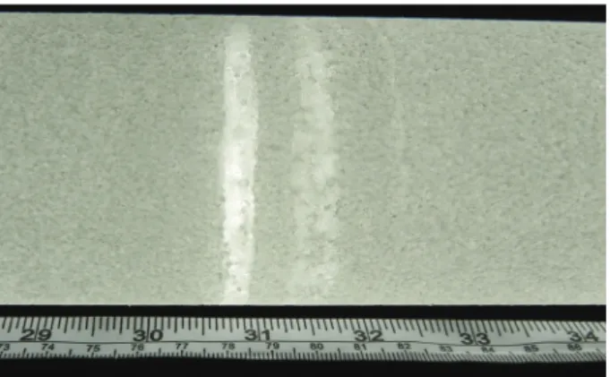 Fig. 1. Melt layers from the NEEM (North Greenland) ice core at 44.3 m. This melt event is dated to AD 1888