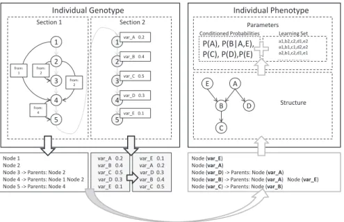 Fig. 3. Example of individual encoding in the proposed approach. The first part of the genome (Section 1) describes a directed acyclic graph, correct by construction.