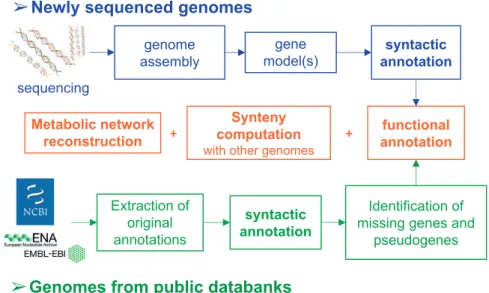 Figure 3. Submission of genomic data into the MicroScope platform. Four types of services are provided for the integration of (i) newly sequenced or publicly available genomes (Genome), (ii) genome assemblies/bins from metagenomic samples (Metagenome), (ii