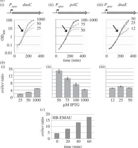 Figure 1. DnaE is required for both initiation and elongation of replication. Strains HVS597, HVS609p and HVS614p encode dnaC, polC or dnaE from the Pspac IPTG- IPTG-inducible promoter