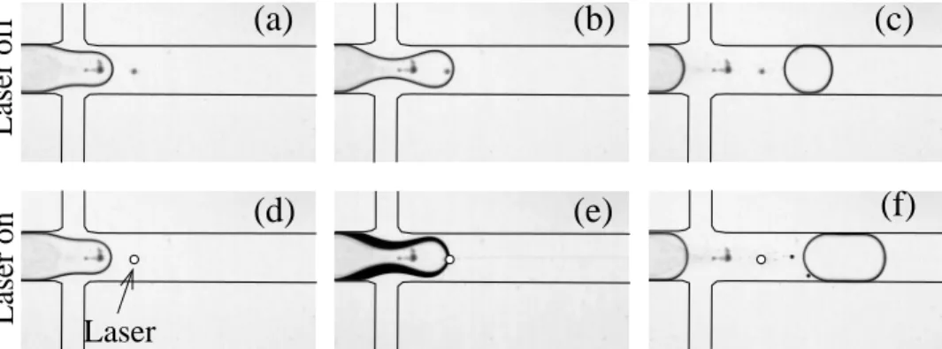Figure 1: The water interface is temporarily blocked when it crosses the path of the focused laser in response to a force directed away from the hot spot, resulting in the production of a larger drop.