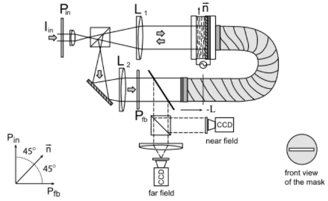 FIG. 1: Experimental setup: ~n liquid crystal nematic director;