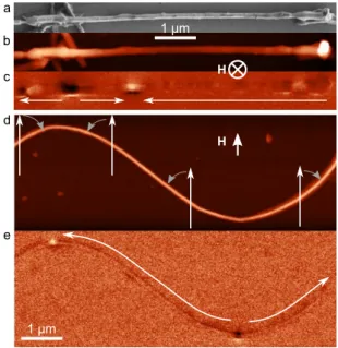 Fig. 1: (a) Scanning electron, (b) AFM (c) MFM of a wire with diameter 80 nm displaying local protrusions with  diam-eter 150 nm, and demagnetized with a large field applied  per-pendicular to the plane