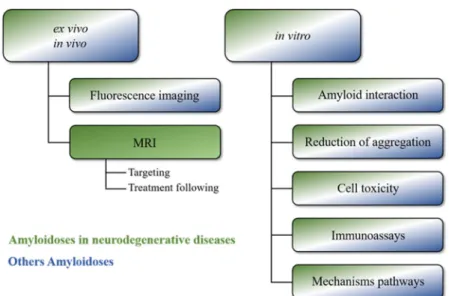 Figure 1. Principal insights of magnetic nanoparticles (MNPs) applications in other amyloidoses  fields