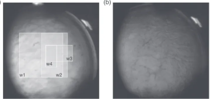 FIG. 4. Sample cell unit with H 2 at (a) T = 35 K and (b) T = 33 . 008 K. Four overlapping windows (marked w1–w4) were used for transmitted light intensity measurements