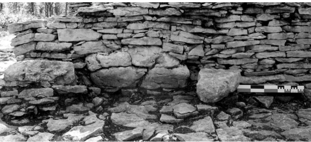 Fig. 8. Blocs lapiazés de calcaire Comblanchien dans une paroi de la ferme 2 (cliché P