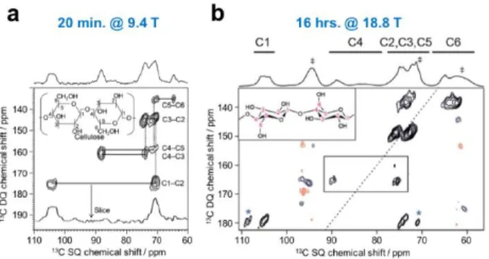 Figure 7. DQ/SQ  13 C- 13 C correlation experiments at NA of cellulose at a) 9.4 T and b) 18.8 T