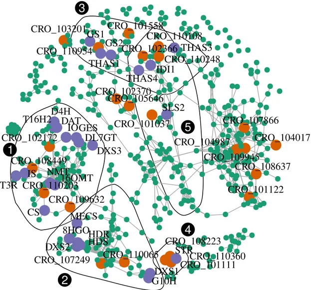 Figure 6. Co-expression network (Spearman’s rho correlation-based) visualizing transcriptional relationships among MIA genes and other differentially methylated and expressed genes detected in this study
