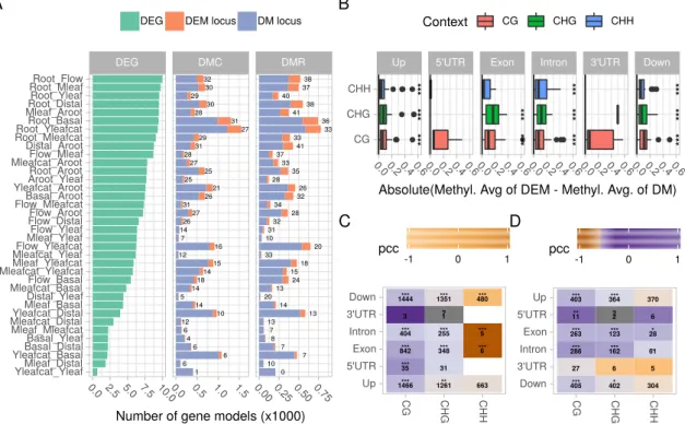 Figure 3. Relationship between differential methylation and differential expression. (A) number of differentially expressed genes (DEG), and number of gene models harboring at least one DMC or one DMR