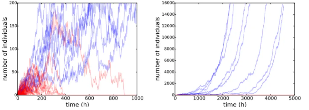 Figure 4: Time evolution of the number of individuals of 500 independent simulations for the r-IBM until time t = 1000 h (left) and t = 5000 h (right).