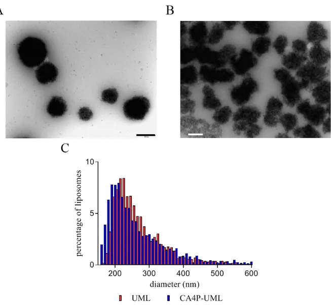 Figure 2. TEM images of UML (A) and CA4P-UML (B) and their size distributions measured  by TRPS (C)