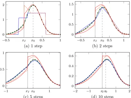 Figure 10: After a few time steps. Density q(