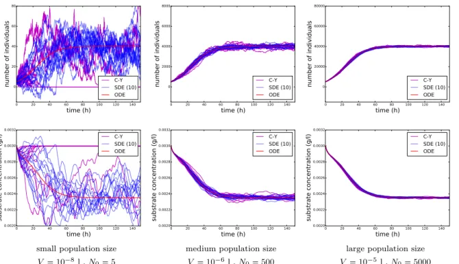 Figure 2. Time evolution of the number of individuals (top) and the substrate concentration (bottom) for small, medium and large population sizes for the Monod growth model