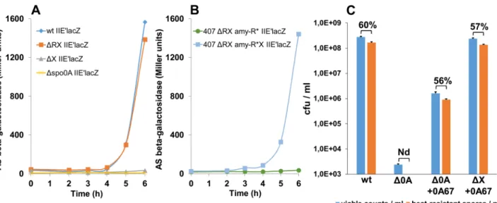 Fig 2. In the absence of NprX, NprR prevents expression of Spo0A-regulated genes. (A) Kinetics of spoIIE expression